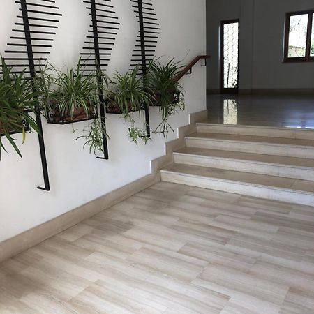 Appartamento Le Zagare ซอร์เรนโต ภายนอก รูปภาพ